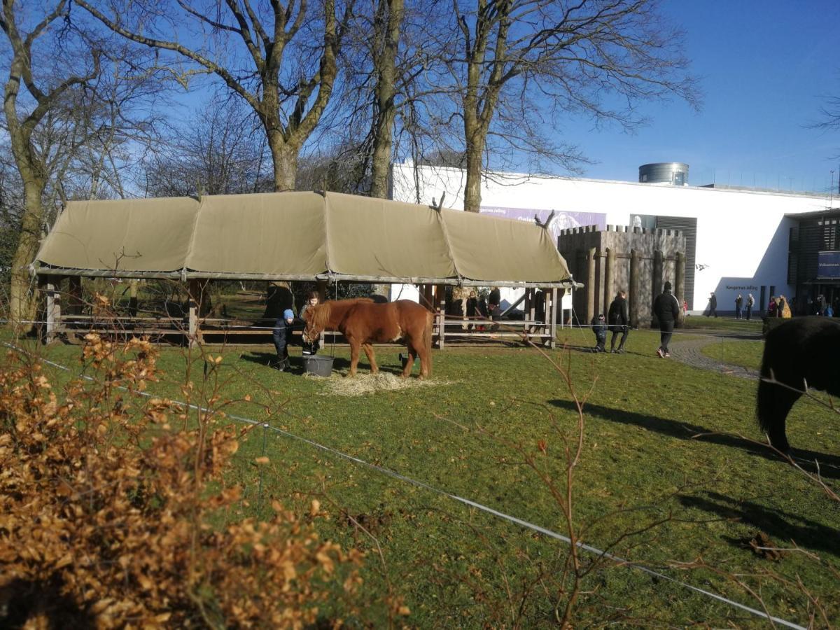 Woody B&B Jelling Exterior foto
